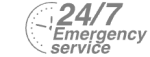 24/7 Emergency Service Pest Control in Brockley, Crofton Park, Honor Oak Park, SE4. Call Now! 020 8166 9746