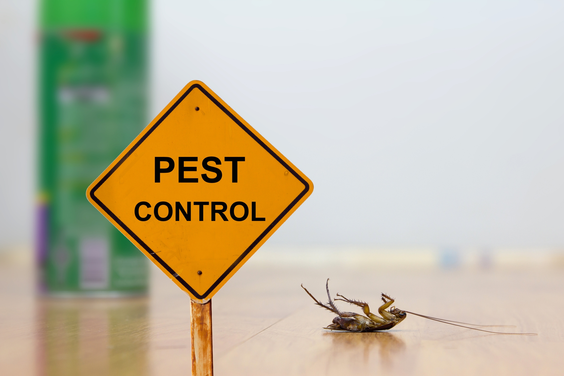 24 Hour Pest Control, Pest Control in Brockley, Crofton Park, Honor Oak Park, SE4. Call Now 020 8166 9746
